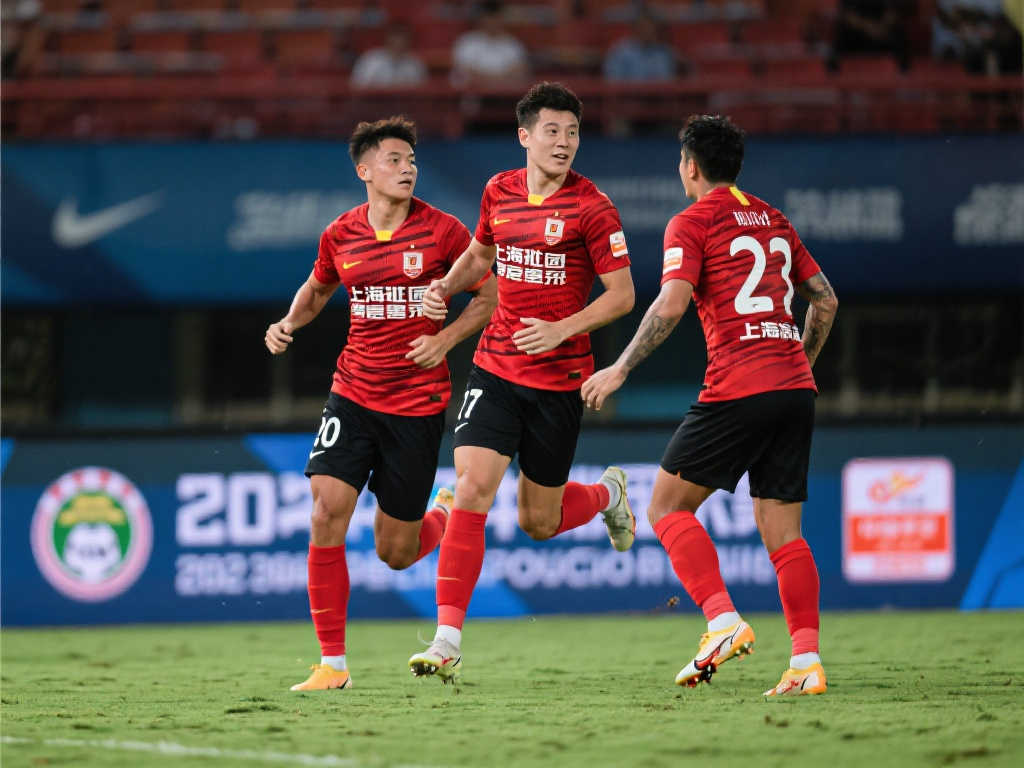 但他的实力 但他的实力